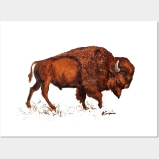 Brown Buffalo Bison Posters and Art